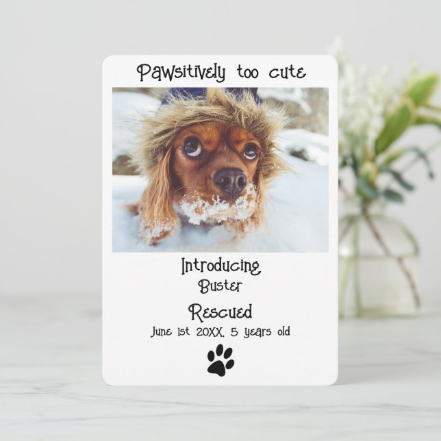 New Pet Dog Announcement Card (Standing Front)