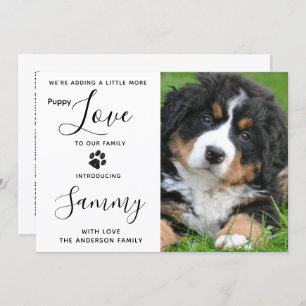 New Pet Dog Puppy Shower Invitation