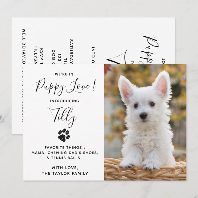 New Pet Dog Puppy Shower Party Invitation (Front/Back)