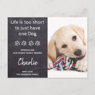 New Pet New Puppy Custom Photo Dog Announcement Postcard