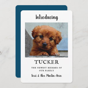 New Pet Photo Announcement Flat Card