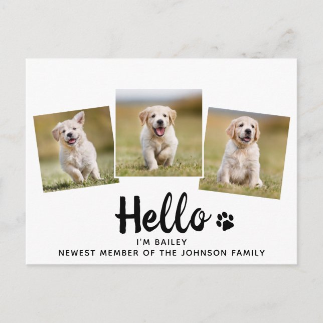 New Pet Photo Hello Puppy Dog Shower Invitation (Front)