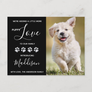 New Pet Puppy Announcement Postcard