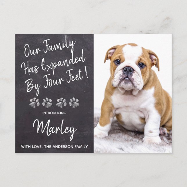 New Pet Puppy Dog Shower Invitation (Front)