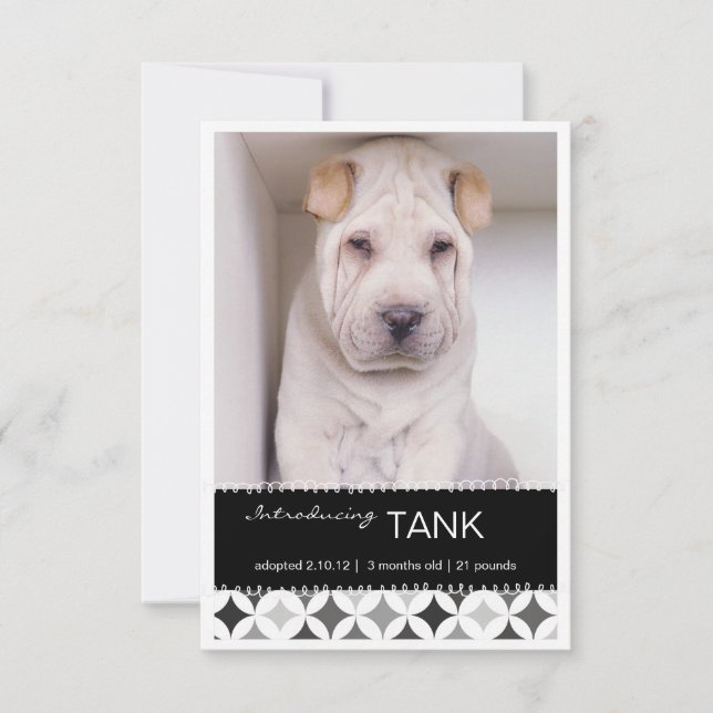 New Pet Retro Circles B&W Photo Announcement (Front)