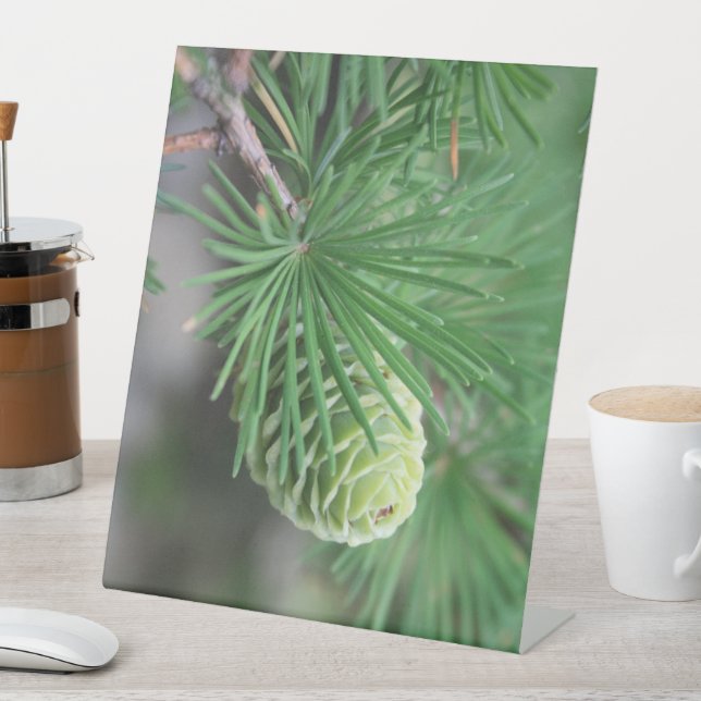 New Pine Cone Standing Frame Pedestal Sign (In SItu)
