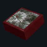 New Pine Cones Gift Box<br><div class="desc">Large mahogany gift box with images of evergreen boughs covered with snow and sprouting new pine cones. See the entire Christmas Gift Box collection under the HOME category in the HOLIDAYS section.</div>
