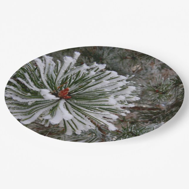 New Pine Cones Paper Plate (Angled)