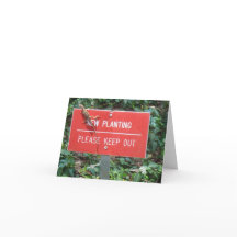 New Planting with Gecko Note Card