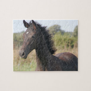 New Pony/Horse Jigsaw Puzzle