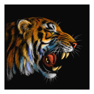 New POWERFUL TIGER  Photo Print