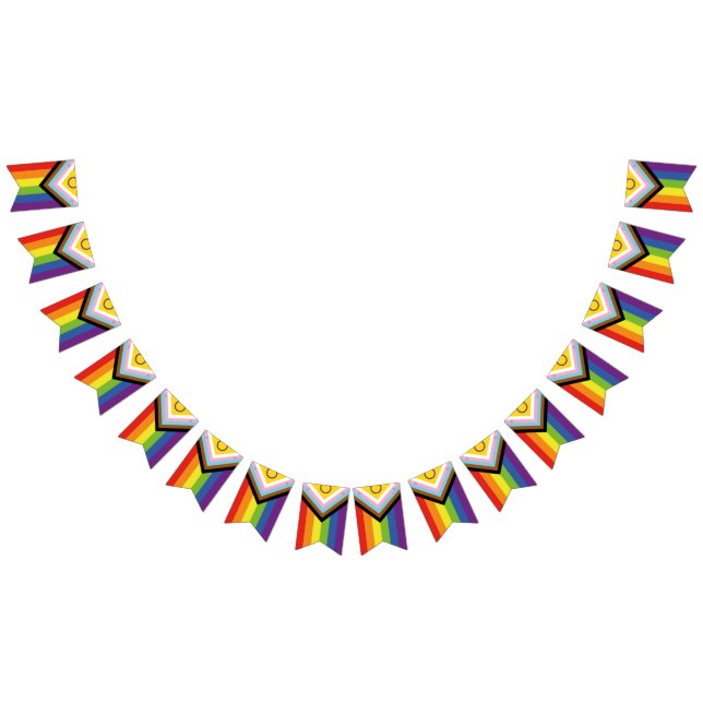 New Progress Pride Flag Bunting Banner LGBT Party (All)