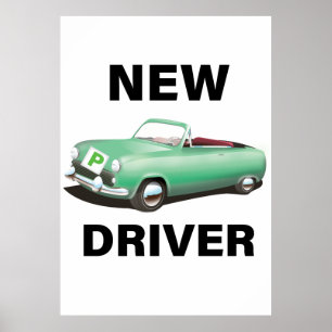 New Provisional car driver Poster