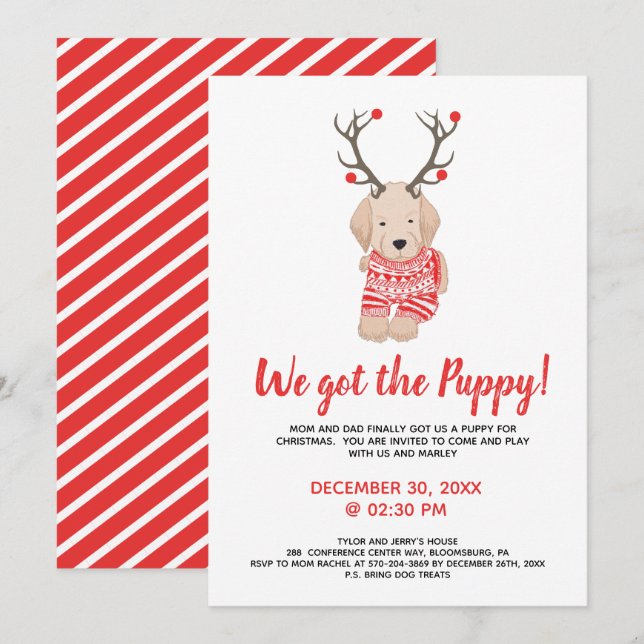 New Puppy Christmas Kids Party Playdate Invitation (Front/Back)