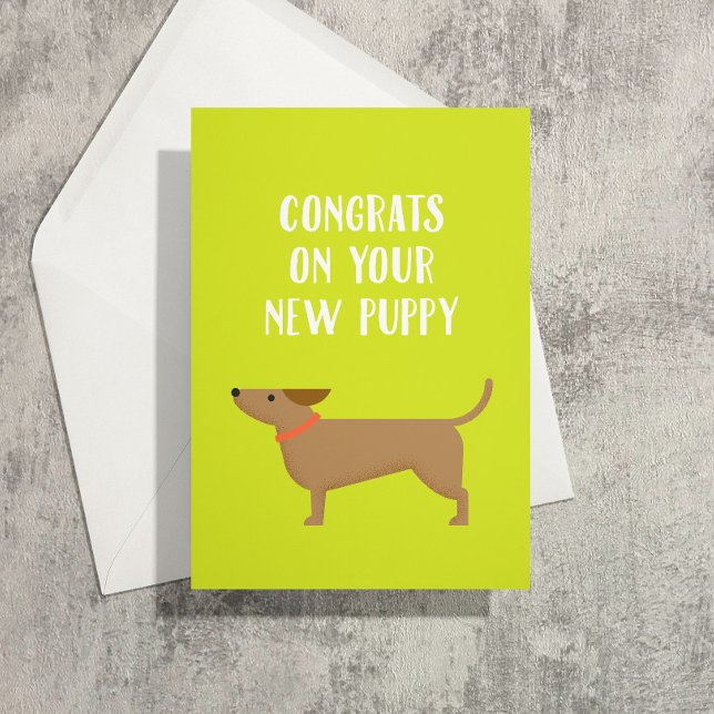 New Puppy Congrats Greeting Card (Dachshund puppy congrats on the new puppy and a lifetime of collecting poop in tiny bags)