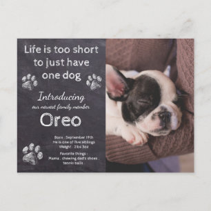 New Puppy- Introducing Puppy Dog Chalkboard Puppy Announcement Postcard