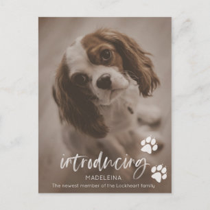 New Puppy or Dog Announcement, Pet Adoption Card