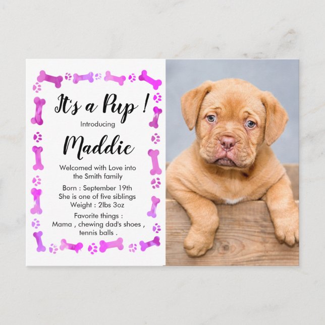 New Puppy - Pink Girl New Pet - Dog Birthday Puppy Announcement Postcard (Front)