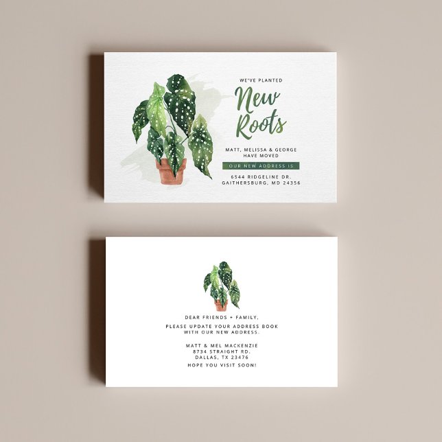 New Roots Change of Address Moving Announcement (Creator Uploaded)