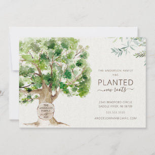 New Roots Oak Tree Moving Announcement