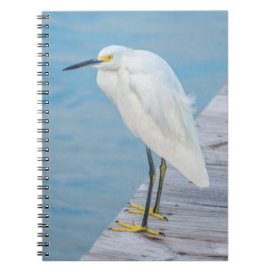 New Smyrna Beach, Snowy Egret on dock Notebook
