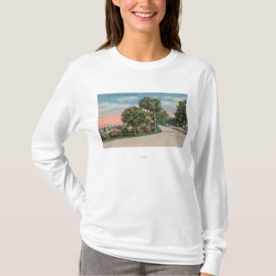 New Smyrna, Florida - Street View of City Park T-Shirt