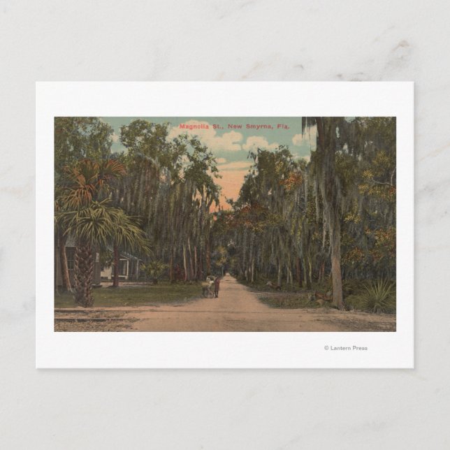 New Smyrna, Florida - View of Magnolia Postcard (Front)