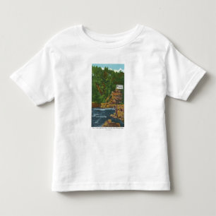 New State Hwy Bridge View of Ausable Chasm Toddler T-Shirt