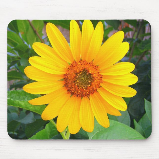 New Sunflower Mouse Pad (Front)