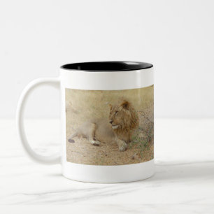 New Sweet Lion King, Botswana..JPG Two-Tone Coffee Mug