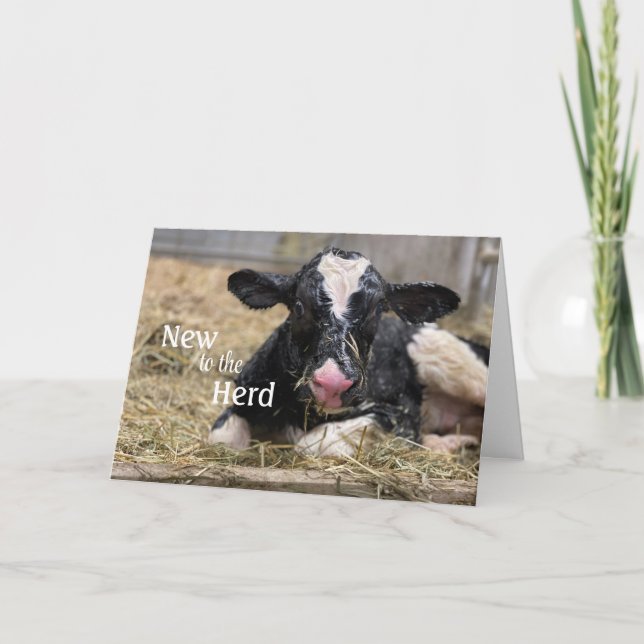 New to the Herd Baby Congratulations Card (Front)