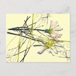 NEW VINTAGE POSTCARD