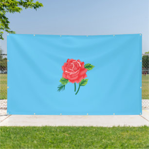 New Vinyl Banners