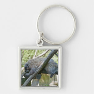 New World Porcupine Key Ring