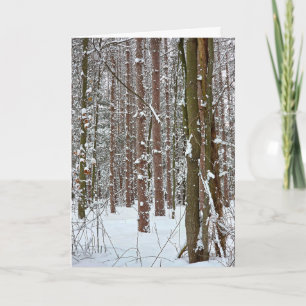 New Year Fresh Snowfall On Forest Trees Card