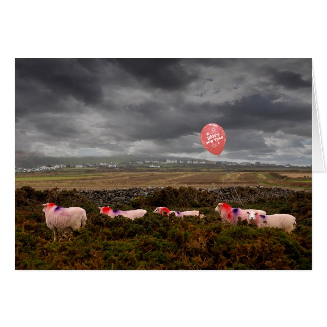 New Year sheep (Front Horizontal)