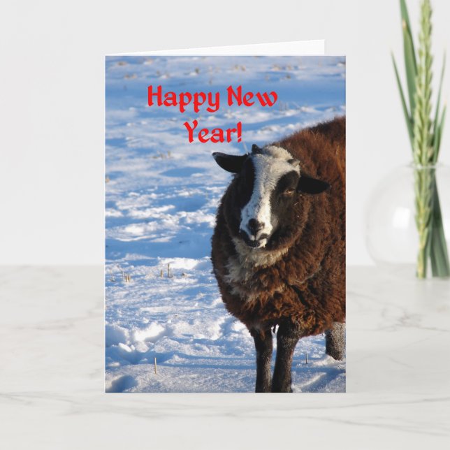 New Year Sheep Holiday Card (Front)