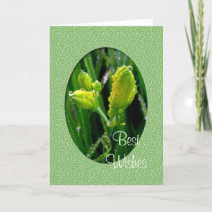 New Year's greeting card