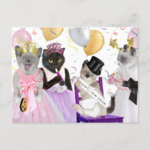 New Year's Kitten Postcard