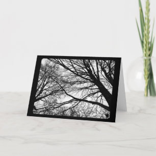 New Year's & Solstice: Snowfall on Maple Holiday Card