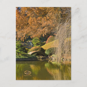 New York Brooklyn Botanic Garden Fall Postcard
