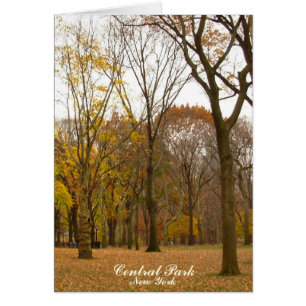 New York Card Central Park New York Souvenir Card