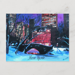 New York City - Central Park Winter Postcard
