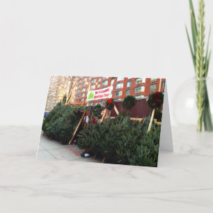 New York City Christmas Tree Stand Holiday Photo