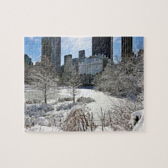 New York City Manhattan Central Park Jigsaw Puzzle (Horizontal)