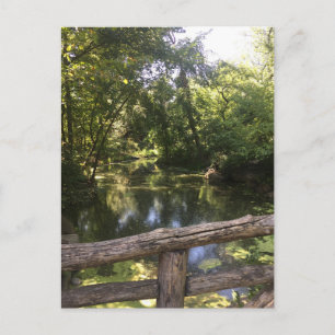 New York City NYC Central Park Trees Water Photo Postcard