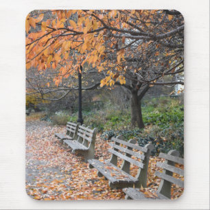 New York City Photography Autumn in Riverside Park Mouse Pad