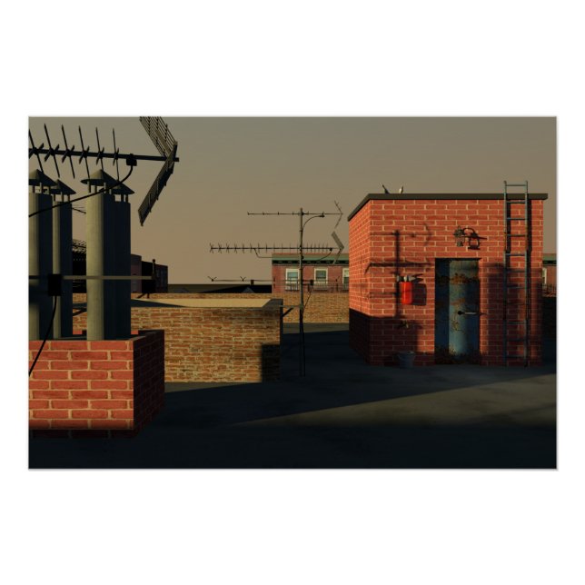 New York City roof Poster (Front)