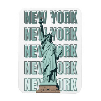 New York city statue of liberty Magnet