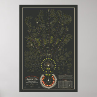 New York & Erie Railroad Org - Dark - Colour Poster